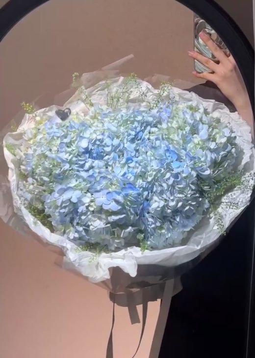 Wici Hydrangea 01