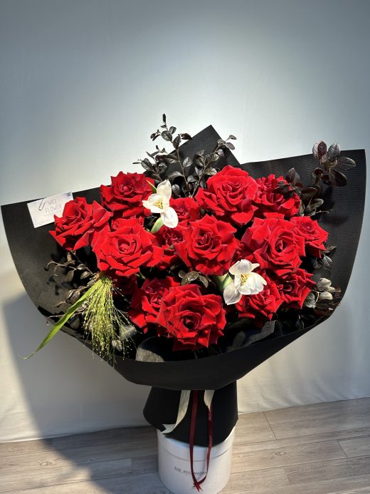 Wici Rose 24 - Đỏ Rực Rỡ