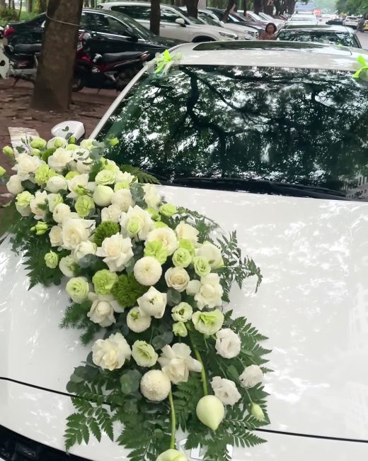 Wici Daisy Trắng Xanh Thanh Thoát