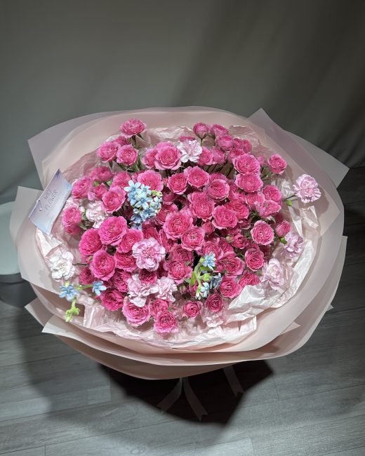 Wici Peony 15