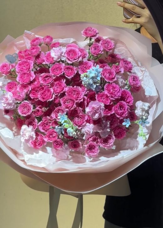 Wici Rose 15