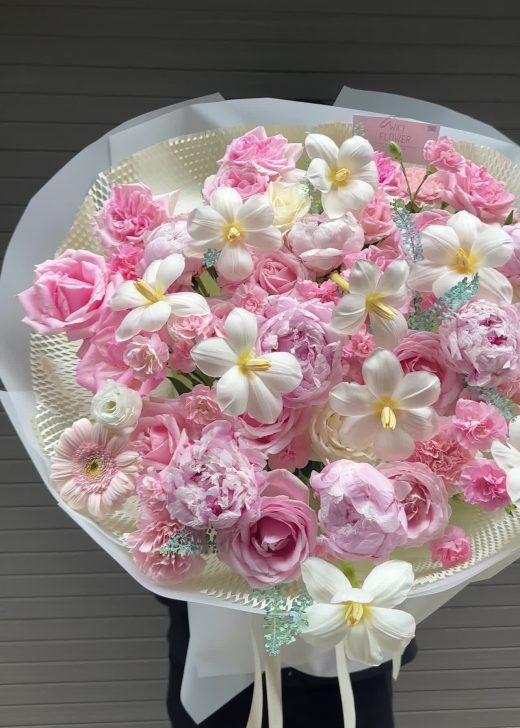 Wici Tulip Hồng Mộng