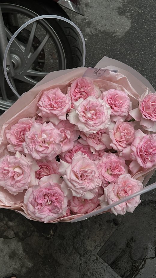 Wici Peony 08