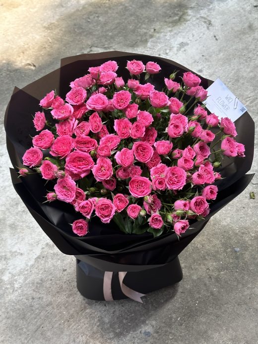 Wici Rose 24