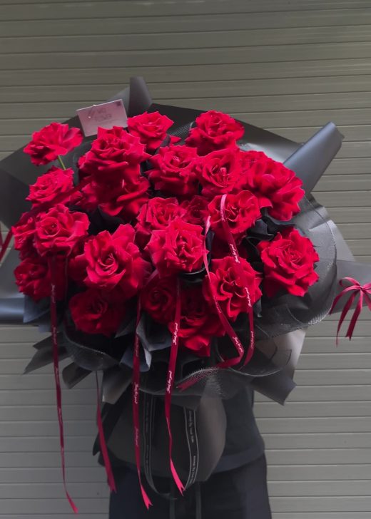 Wici Rose 24 - Đỏ Rực Rỡ