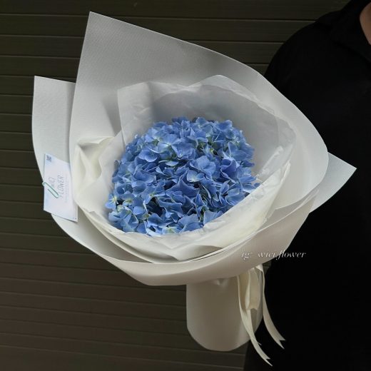 Wici Hydrangea 08