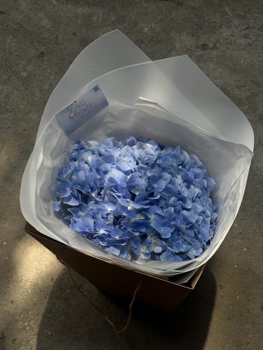 Wici Hydrangea 03