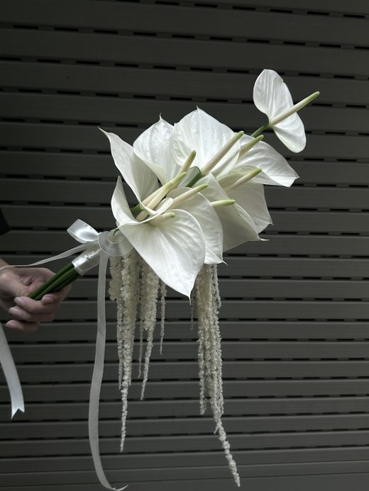 Wici Anthurium 08