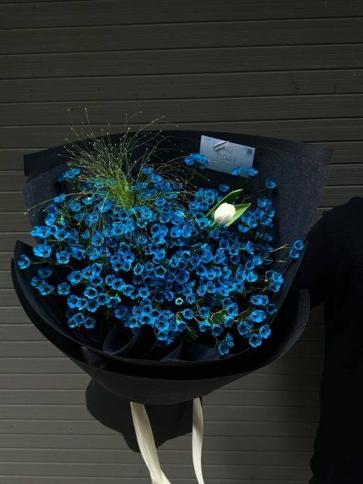 Wici Blue 20