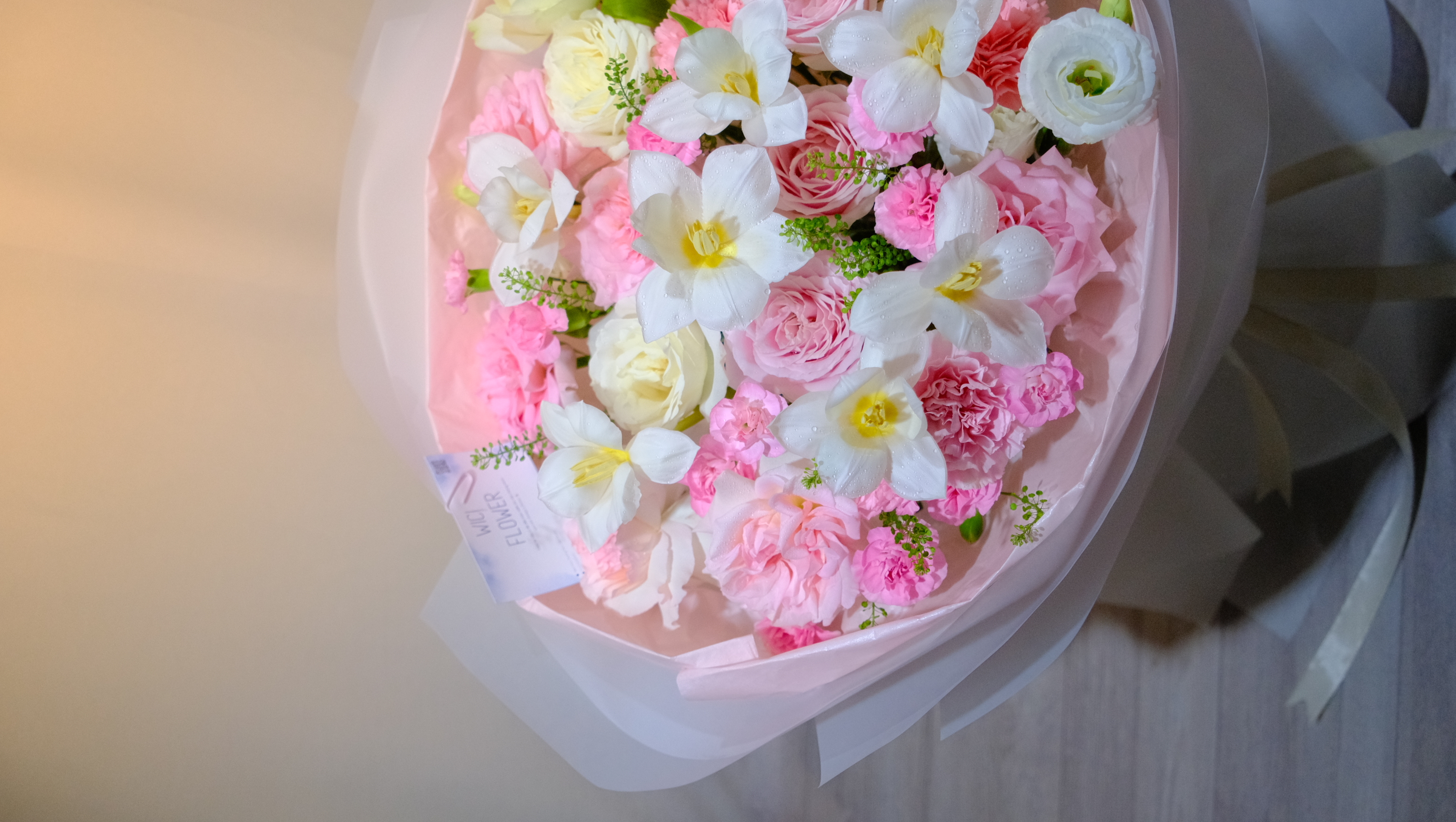 Wici Gardenia 01 - 1