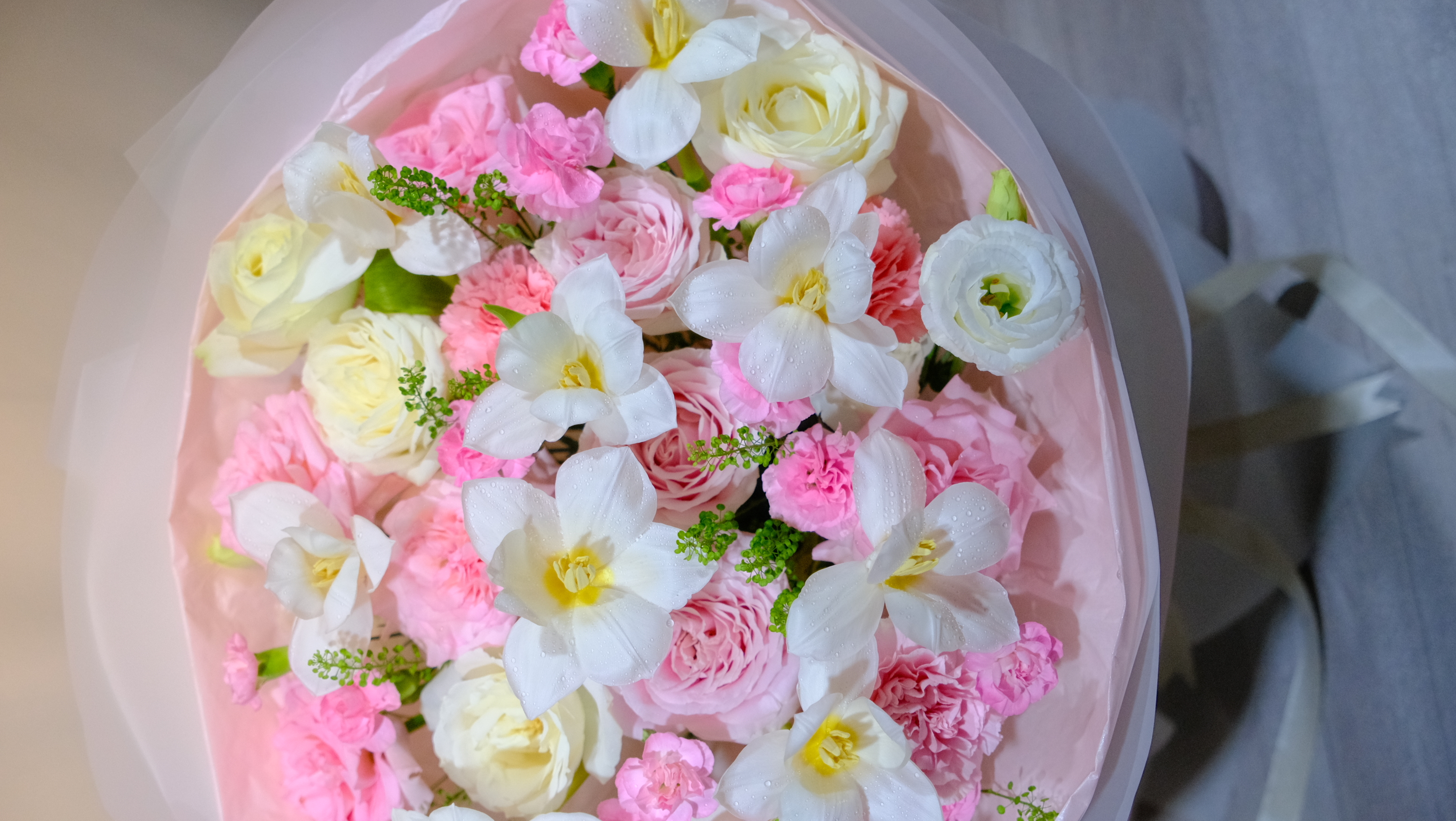 Wici Gardenia 01 - 2