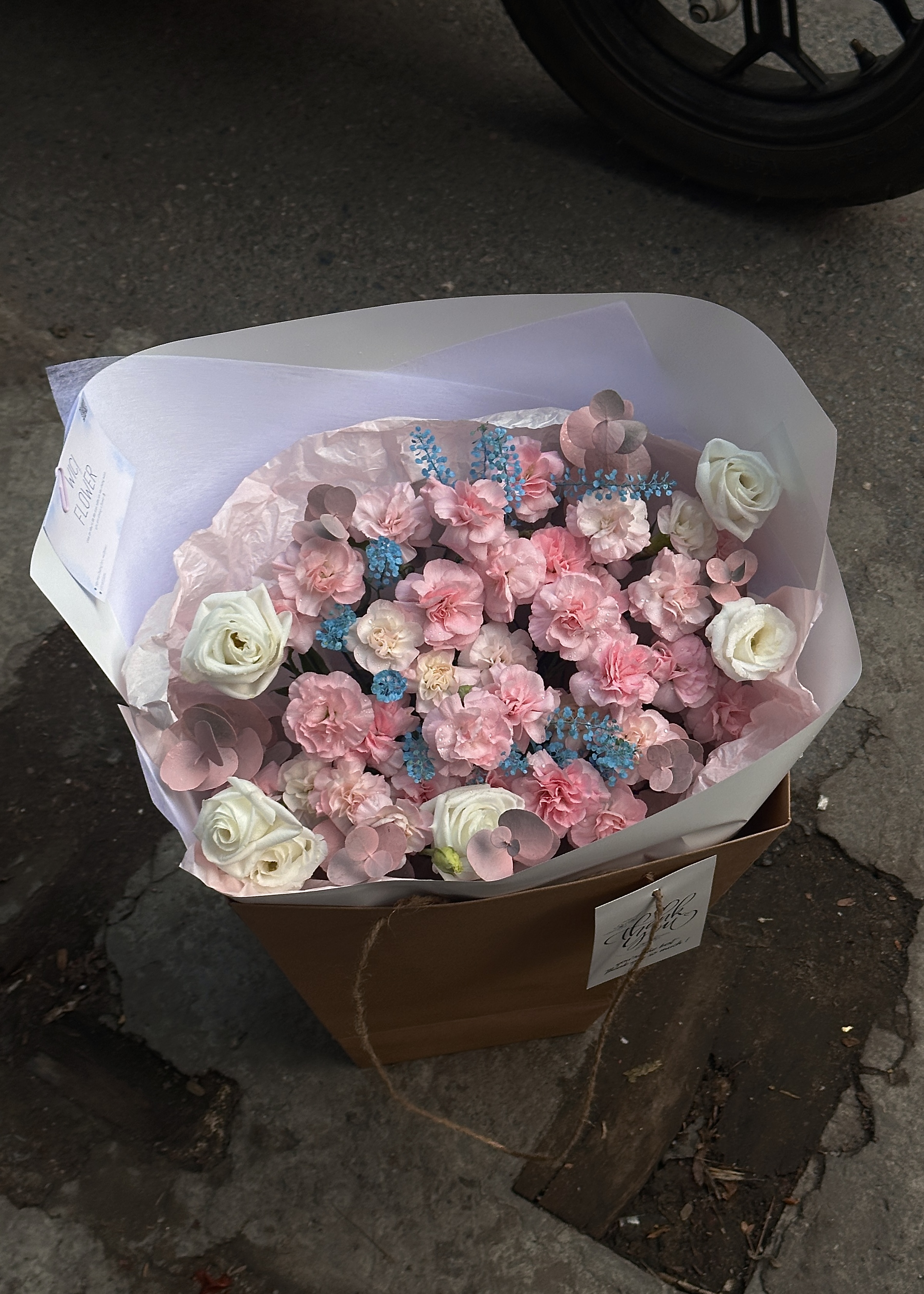 Wici Pink Bloom