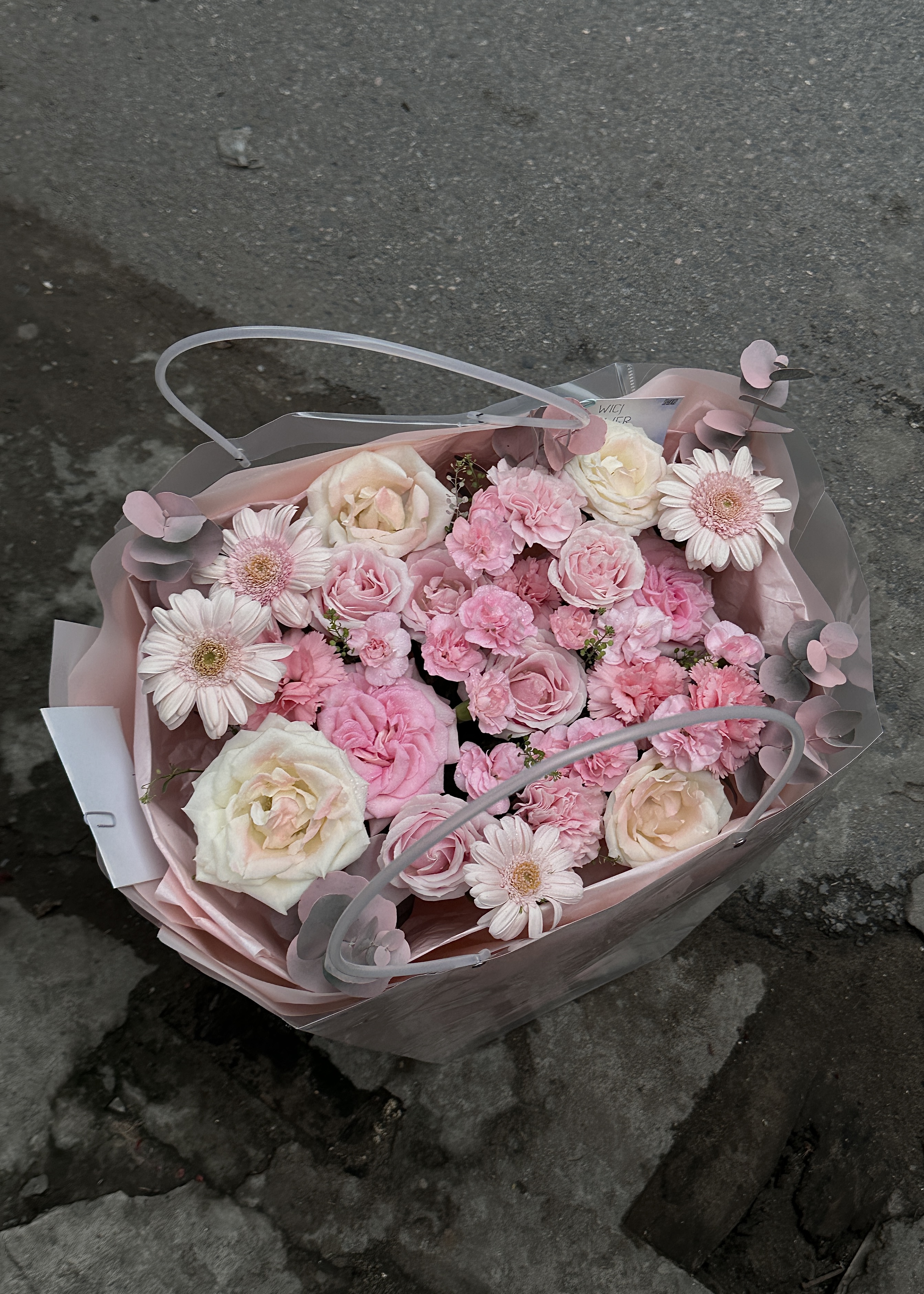 Wici Daisy 08