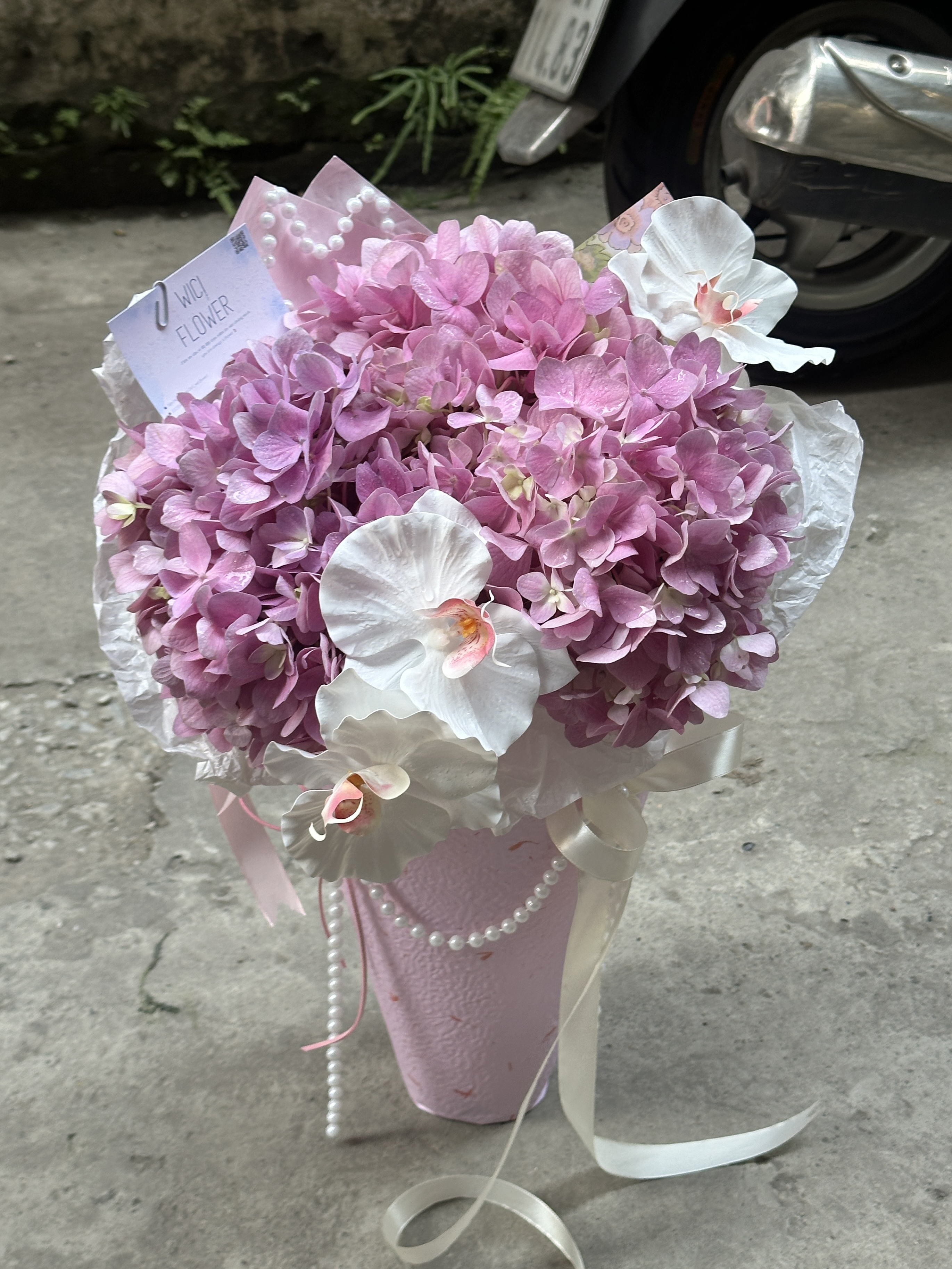 Wici Hydrangea 08