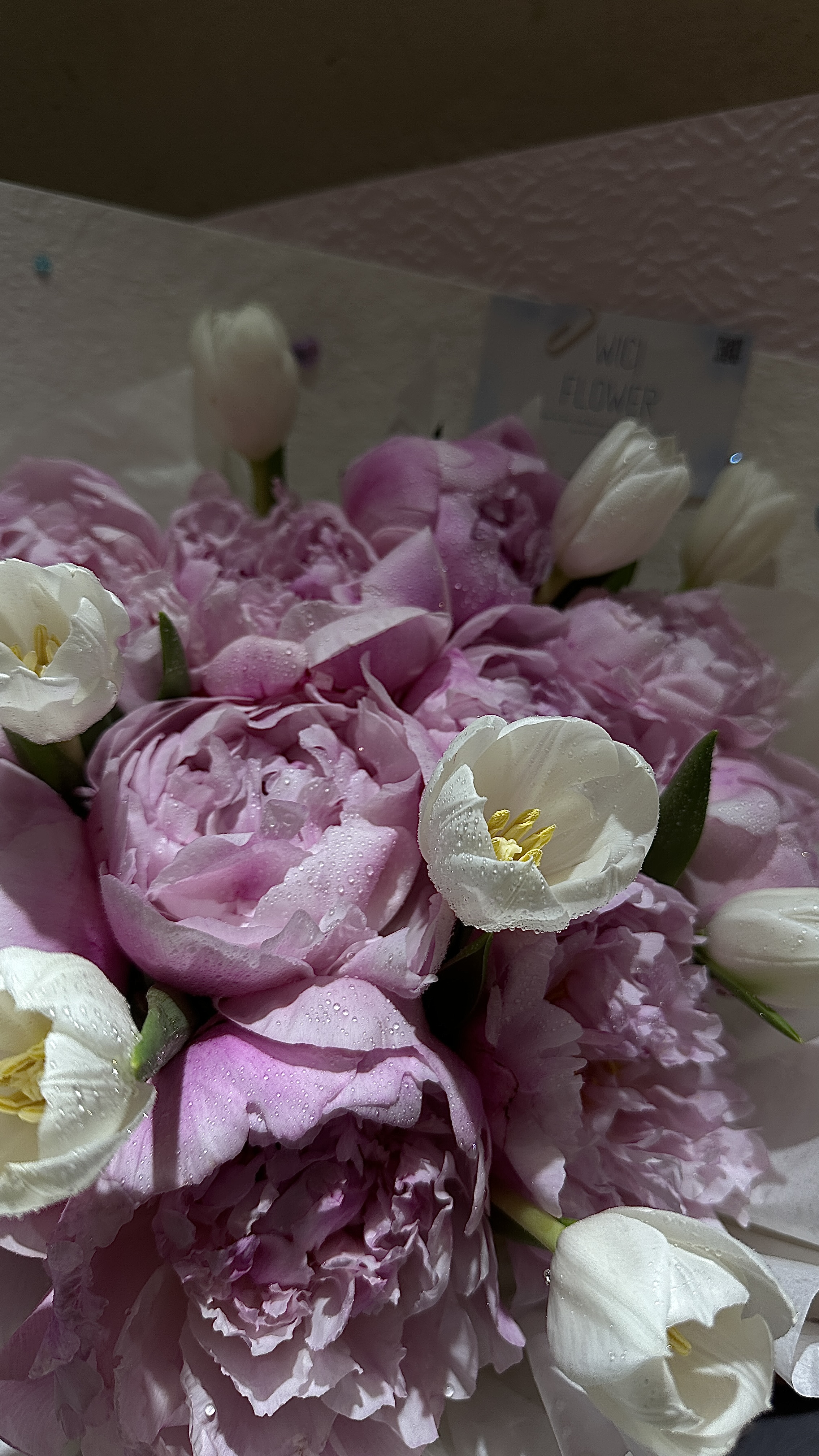 Wici Peony 08 - 1