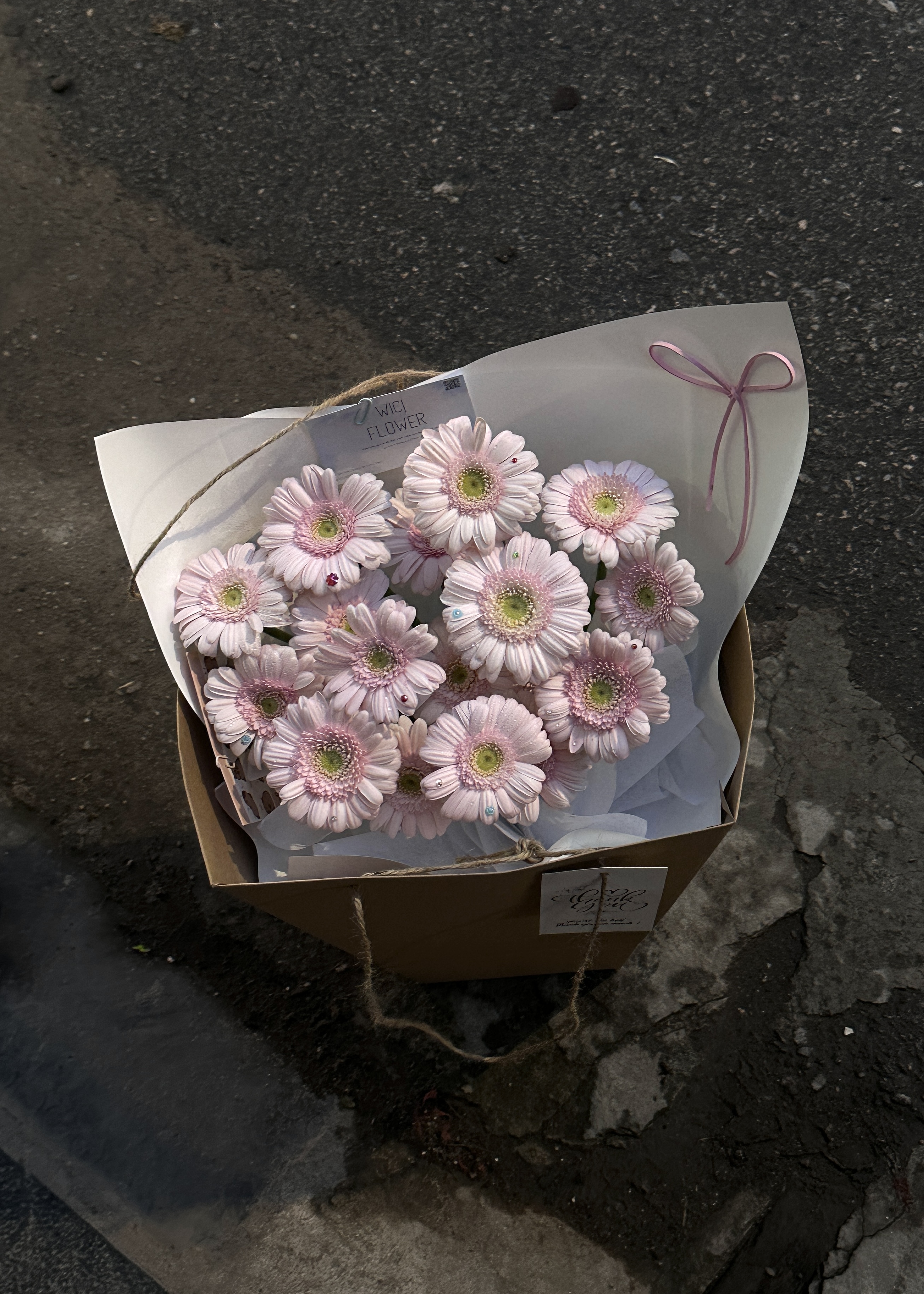 Wici Daisy 15