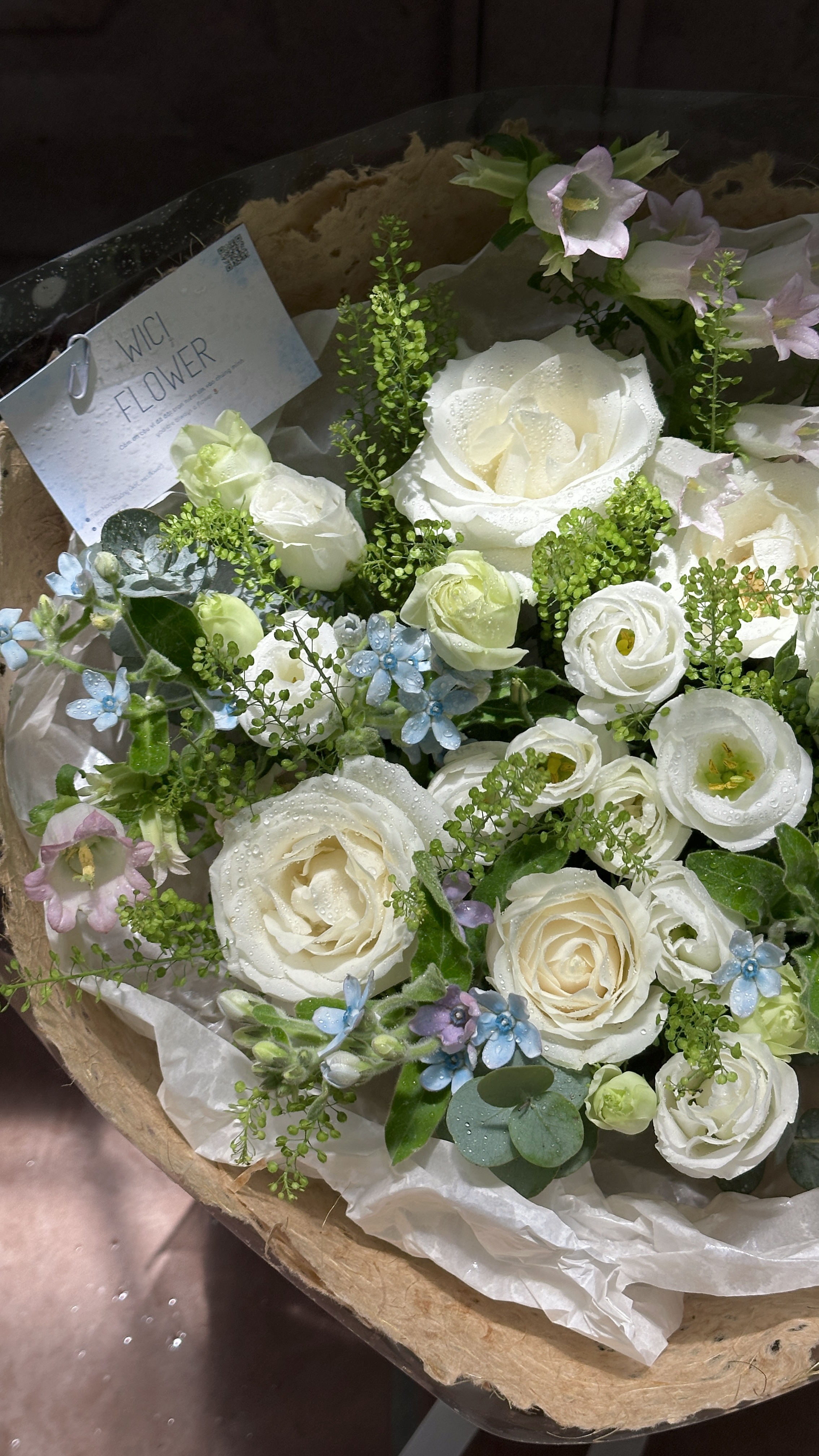 Wici Ranunculus 08 - 1