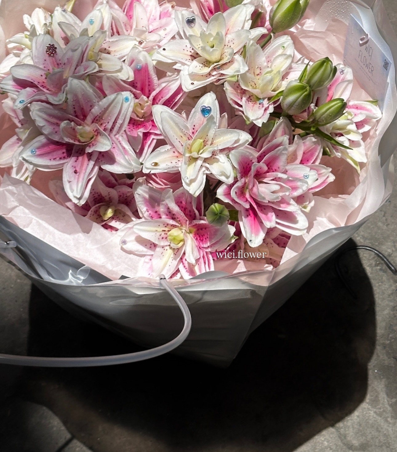 Wici Lily 08 - 2