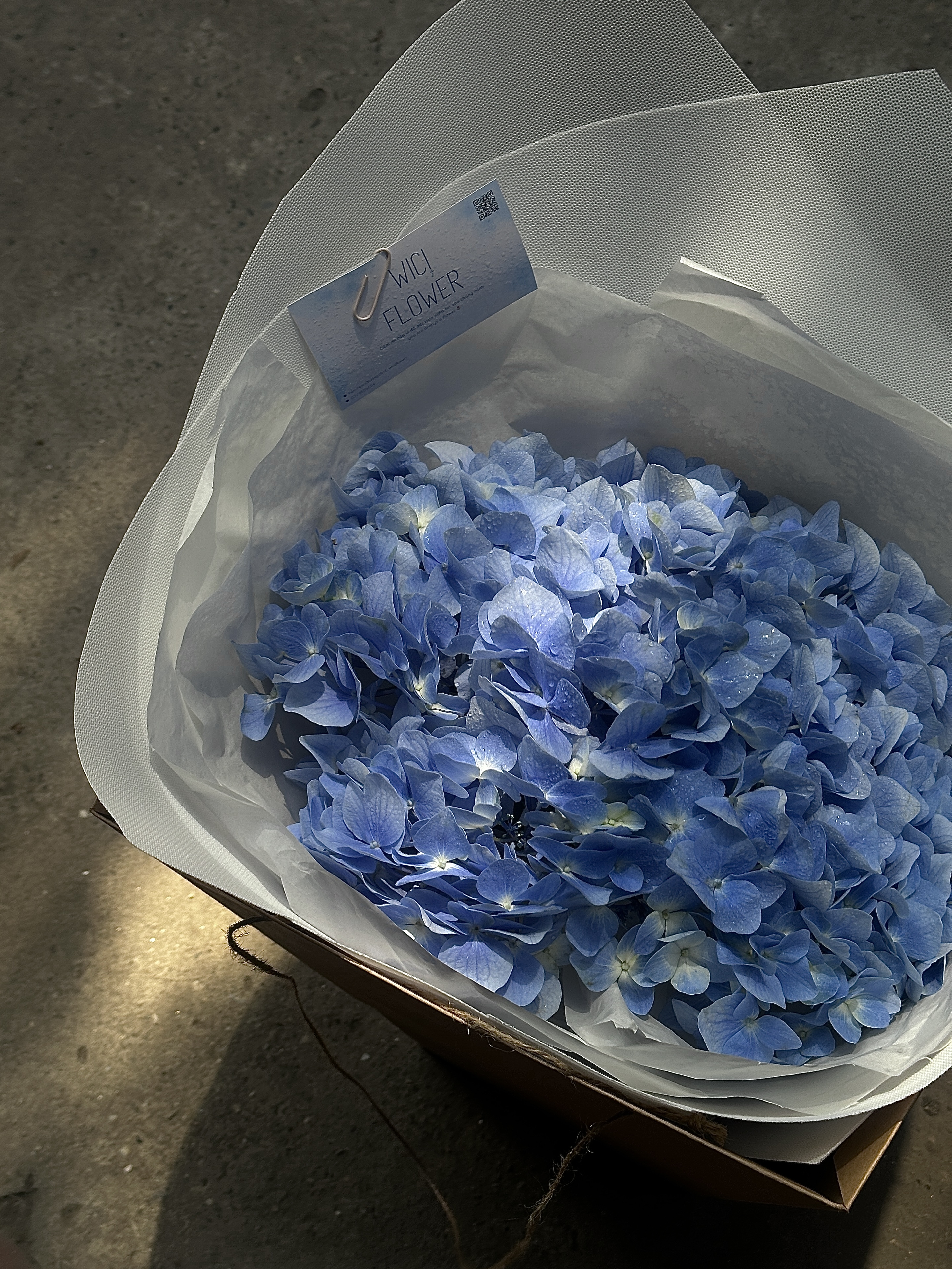 Wici Hydrangea 03 - 1