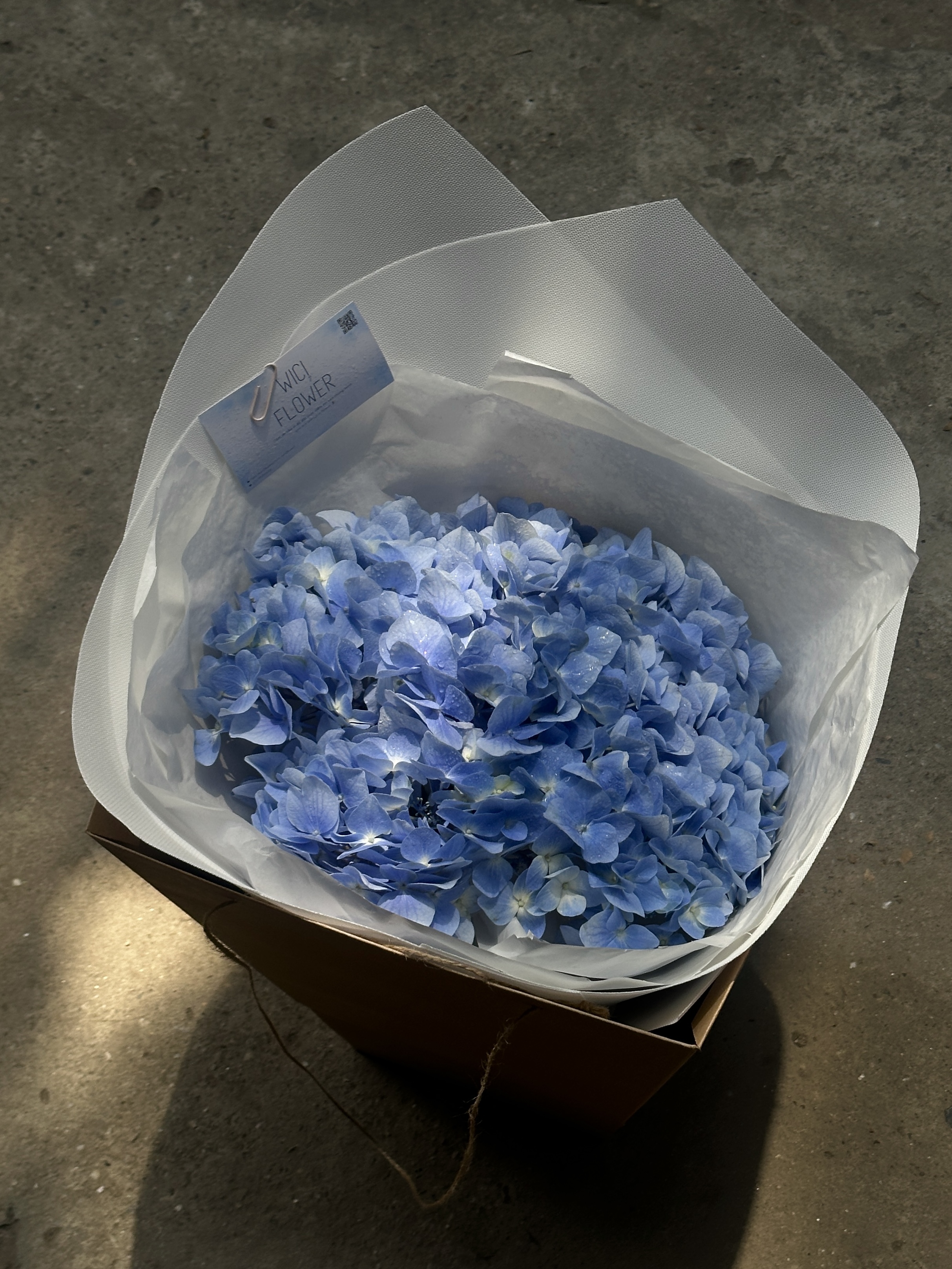 Wici Hydrangea 03