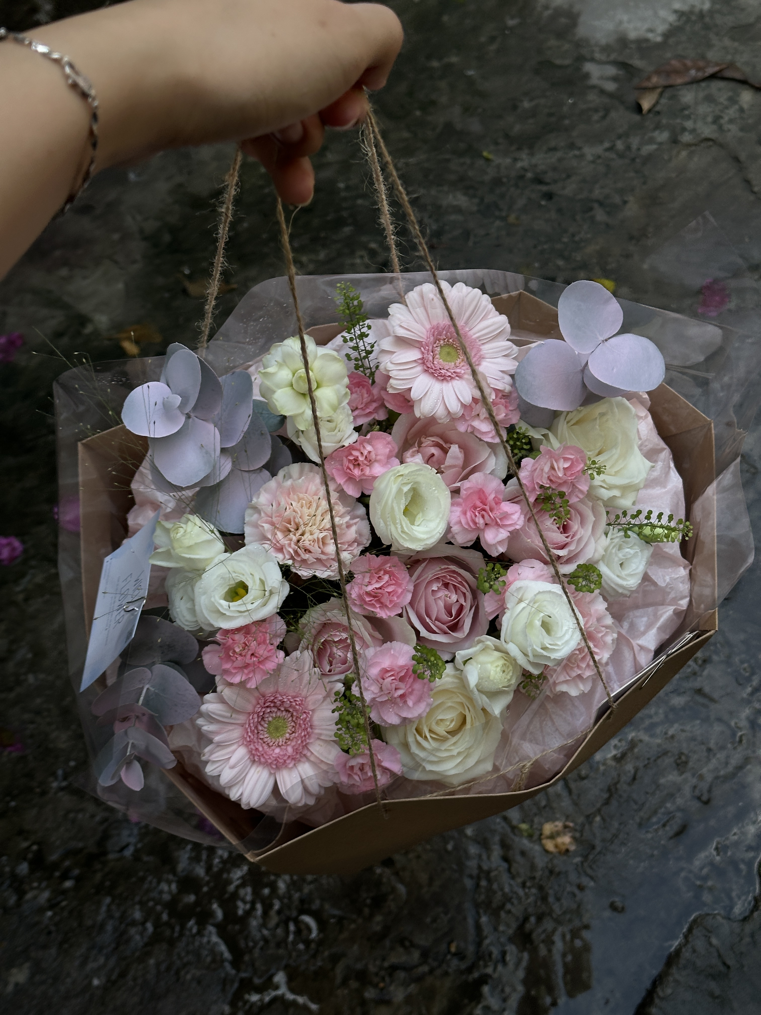 Wici Daisy Hồng Phấn
