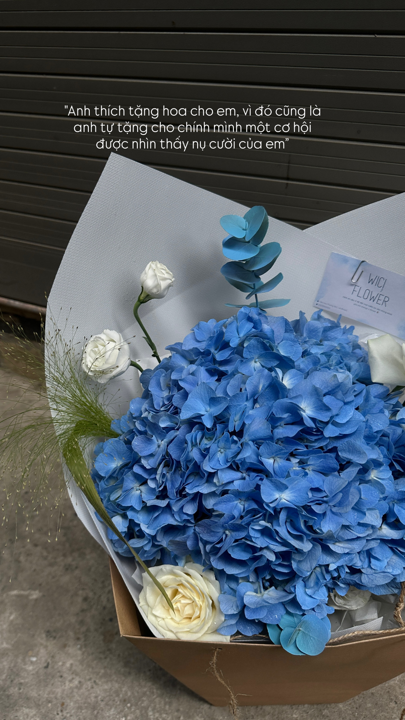 Wici Hydrangea 08 - 1