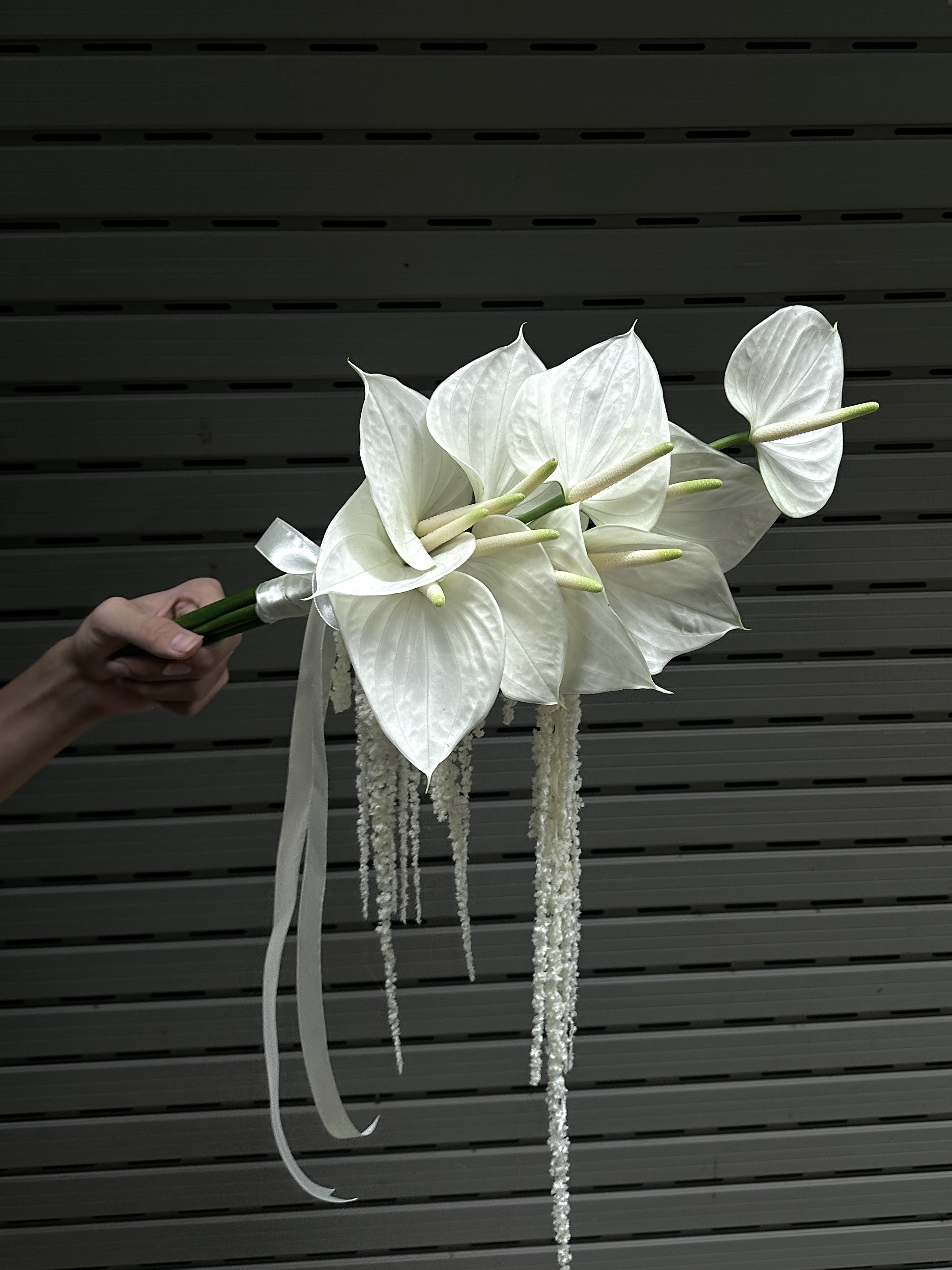 Wici Anthurium 08 - 1