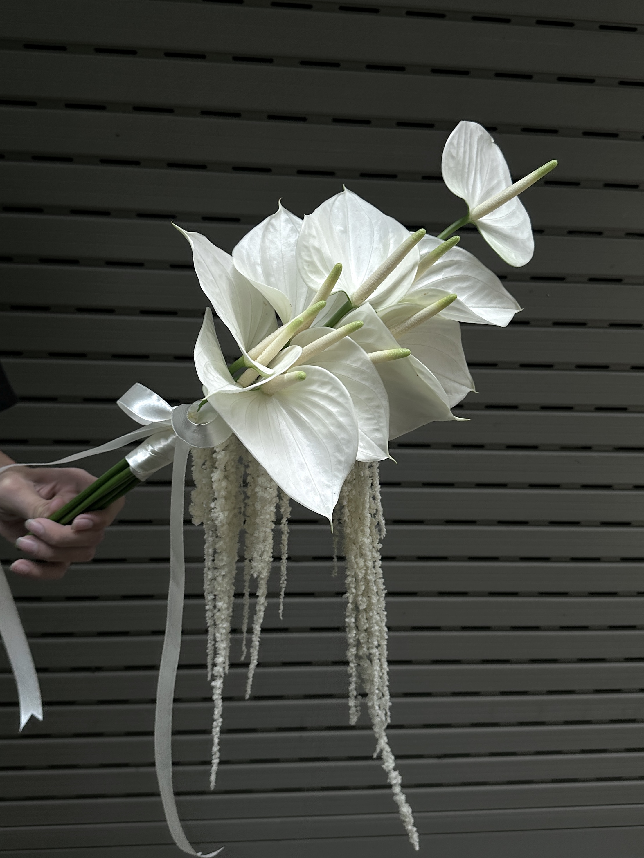 Wici Anthurium 08