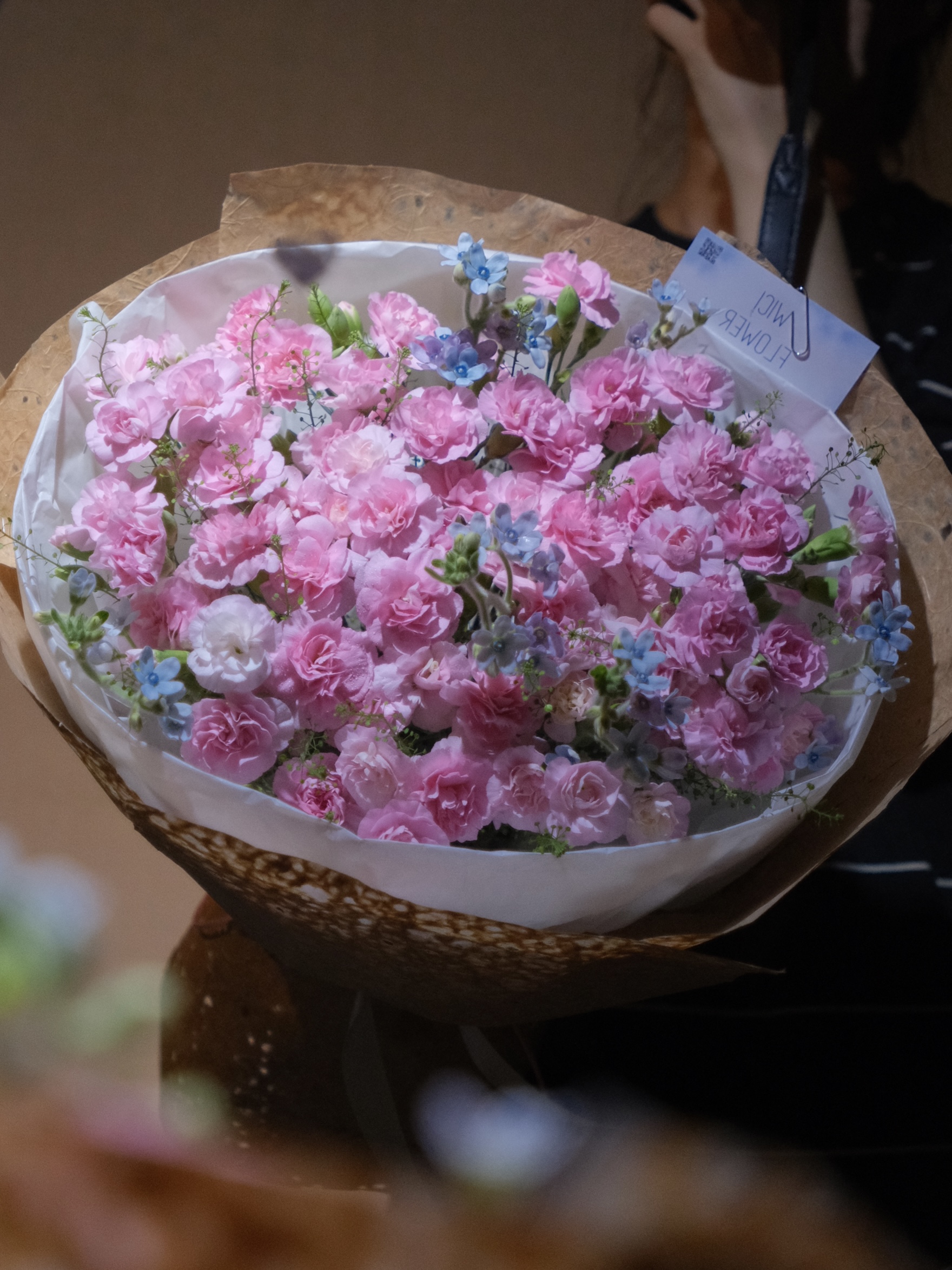Wici Carnation 08 - 1