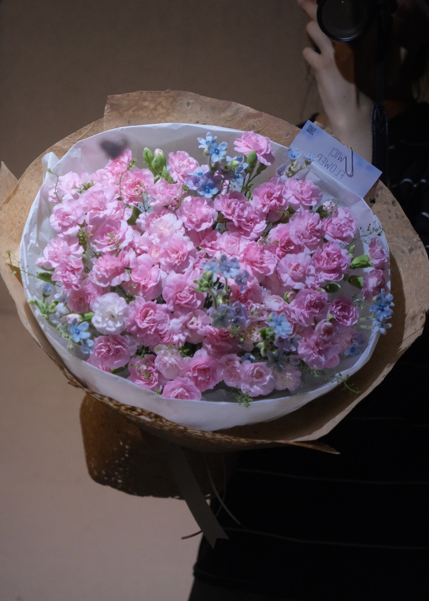 Wici Carnation 08 - 2