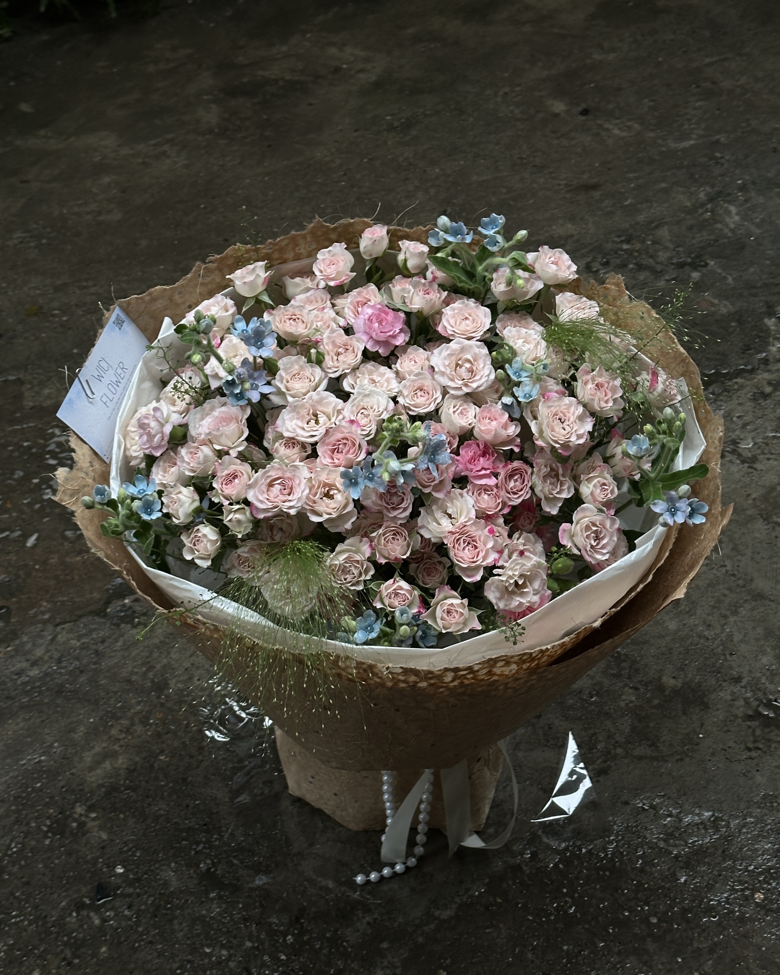 Wici Rose 15