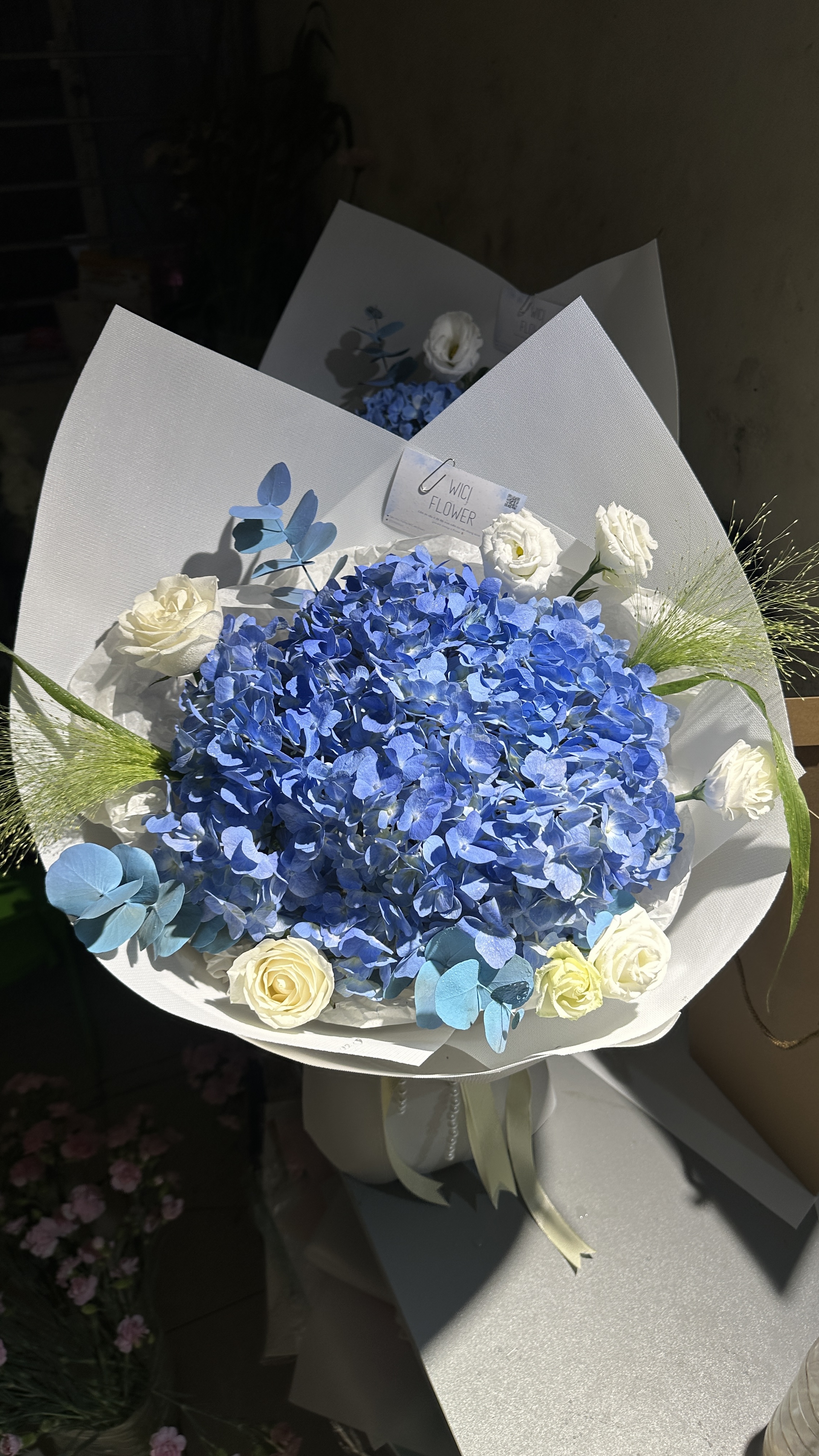 Wici blue