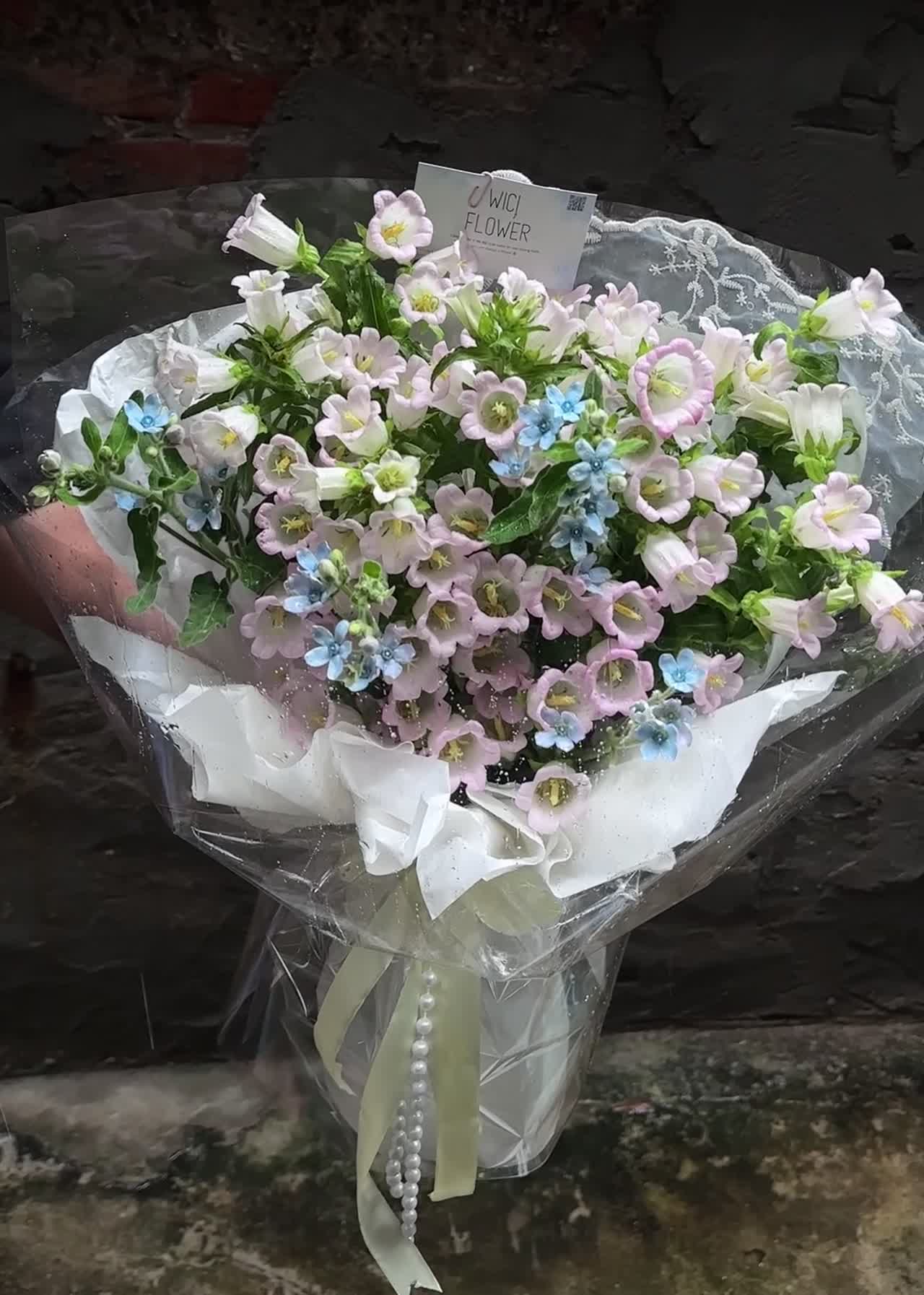 Wici hoa chuông hồng mix sao xanh