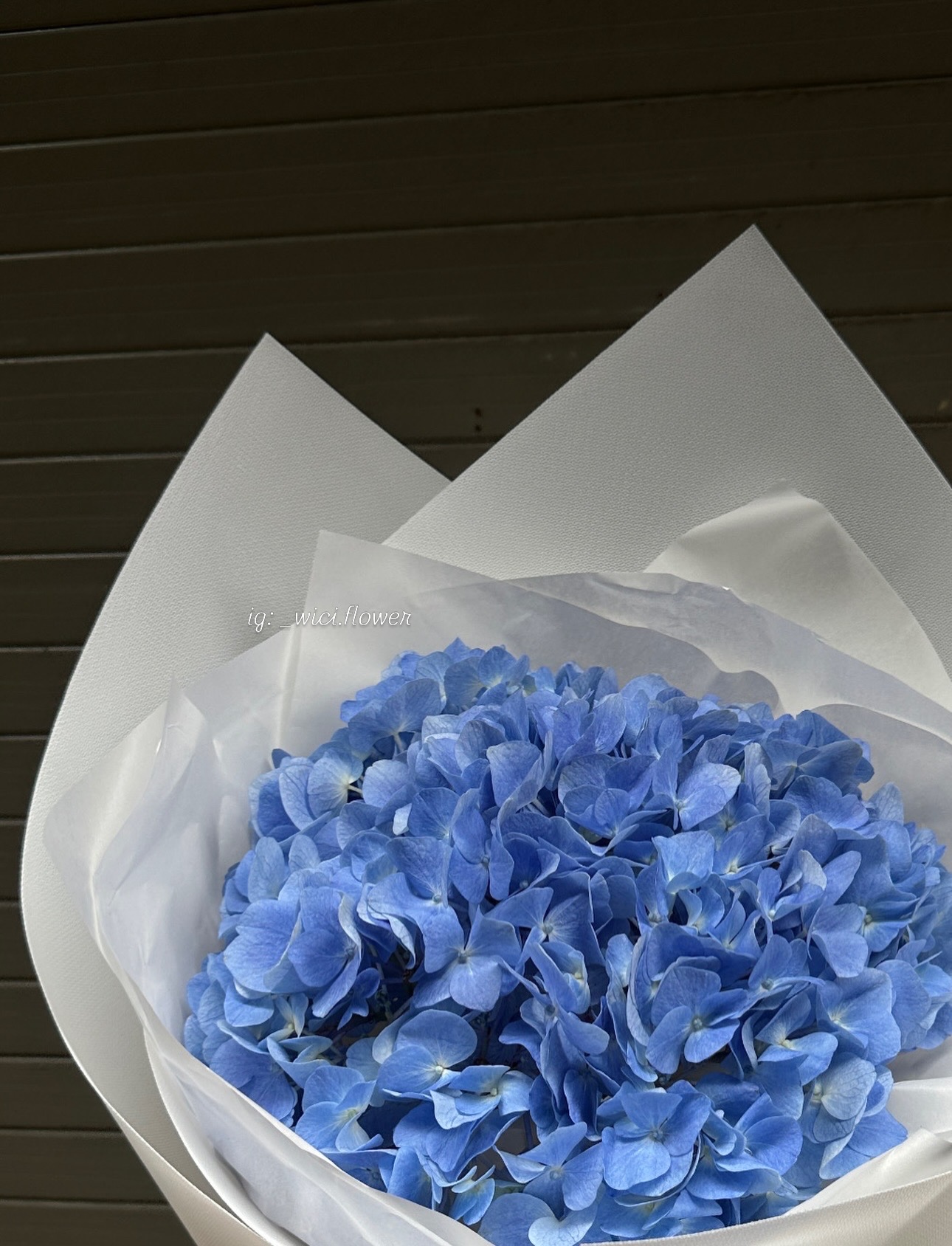 Wici BLUE🩵🤍 - 2