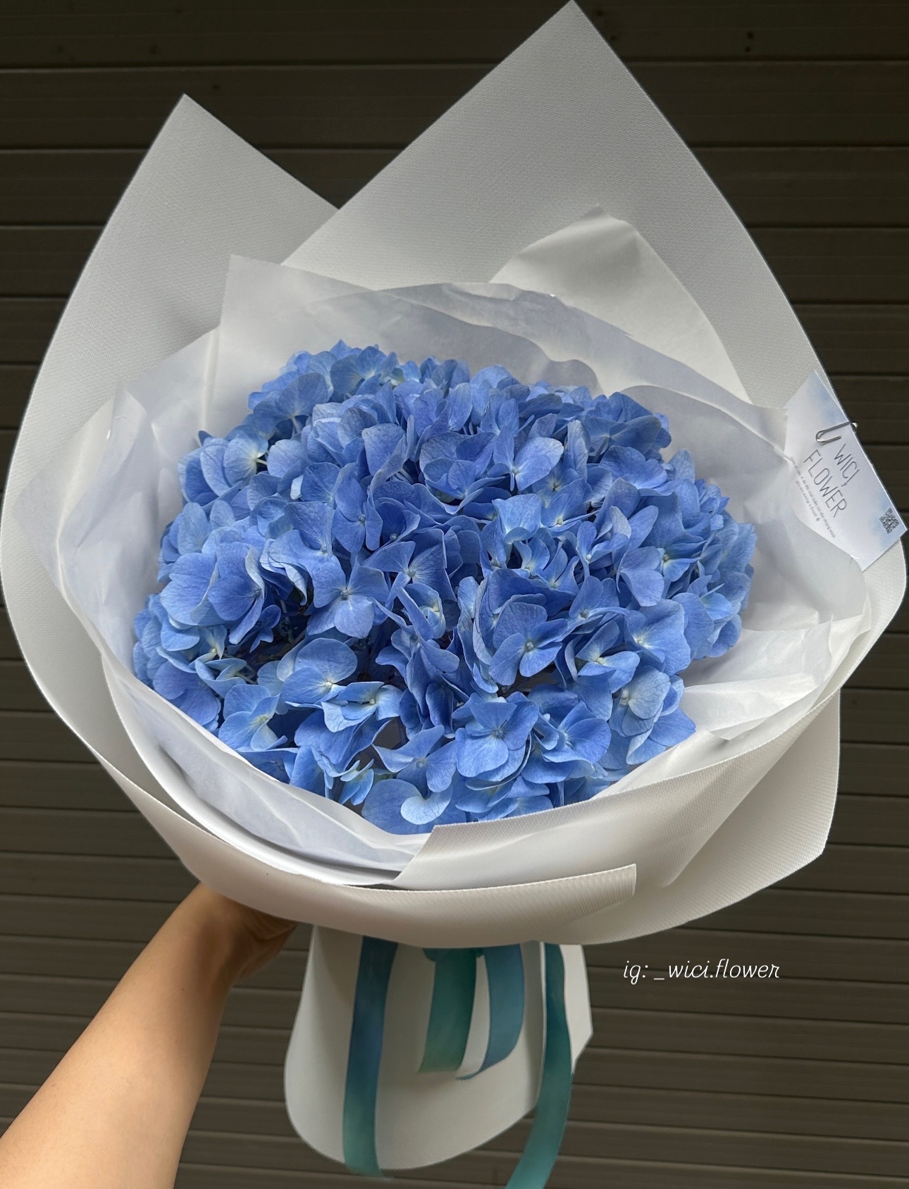 Wici BLUE🩵🤍 - 3