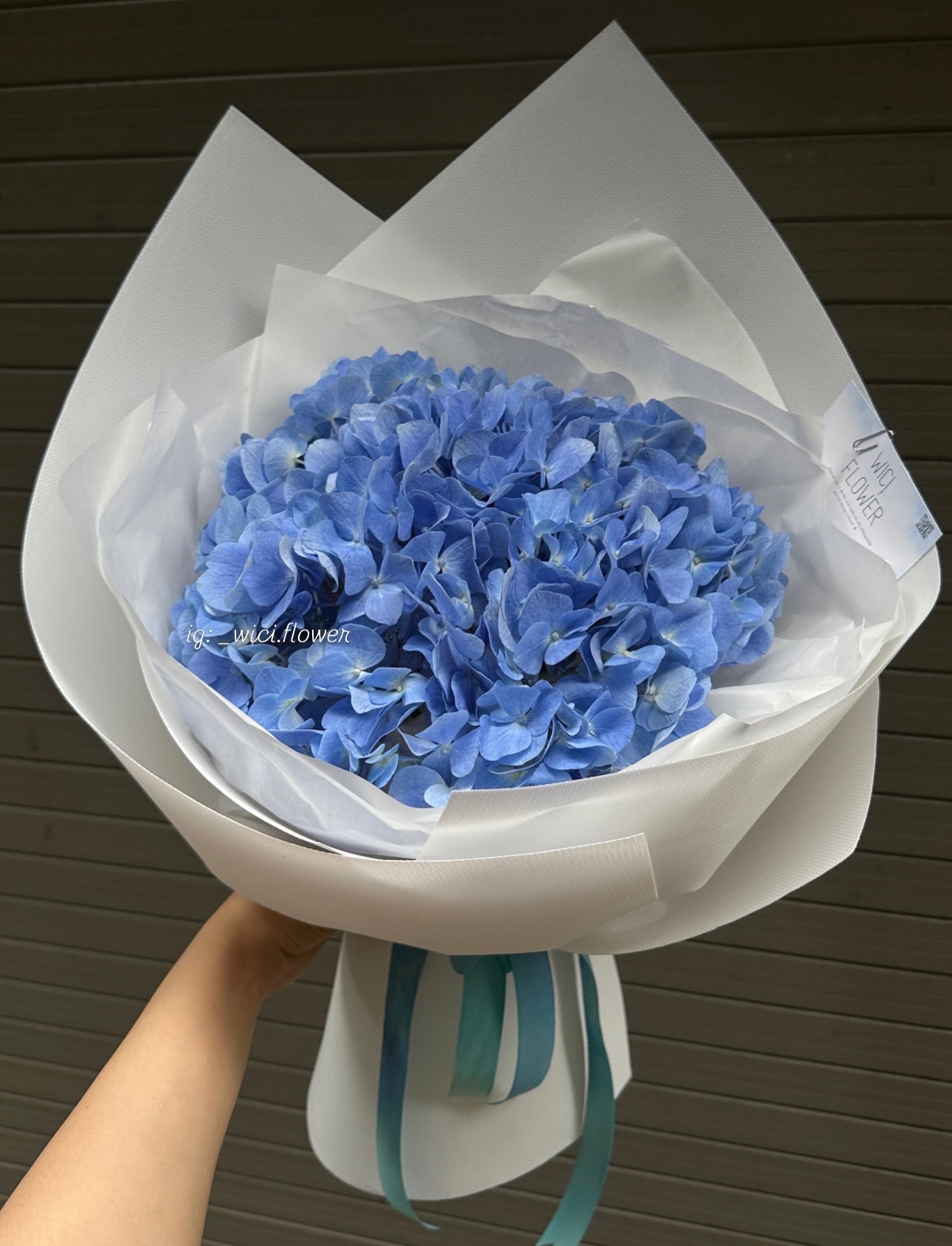 Wici BLUE🩵🤍