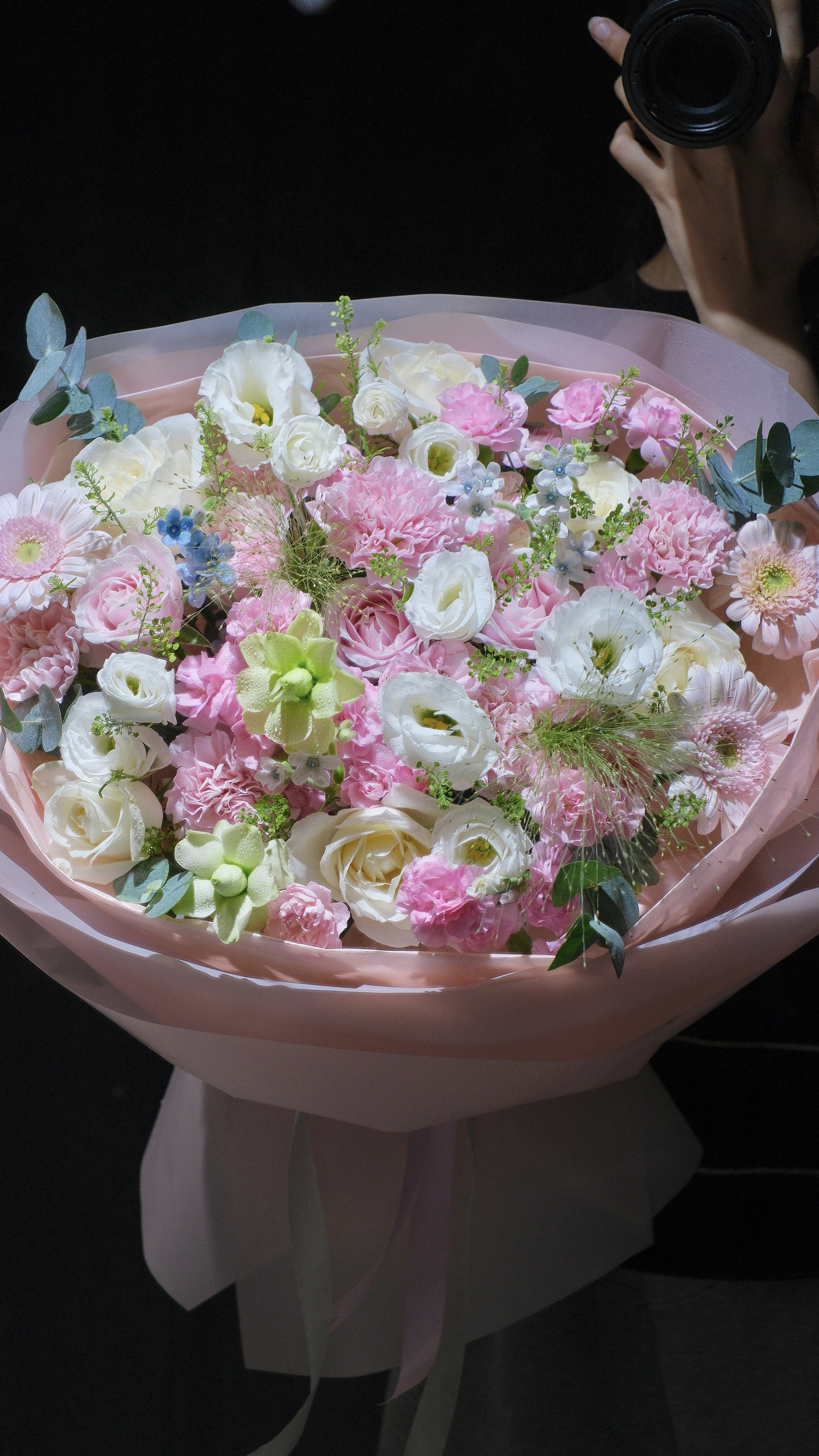 Wici Daisy - 4