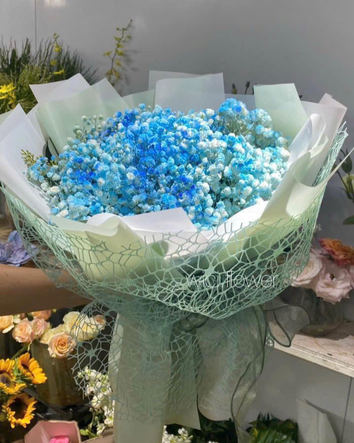 Wici Blue 01