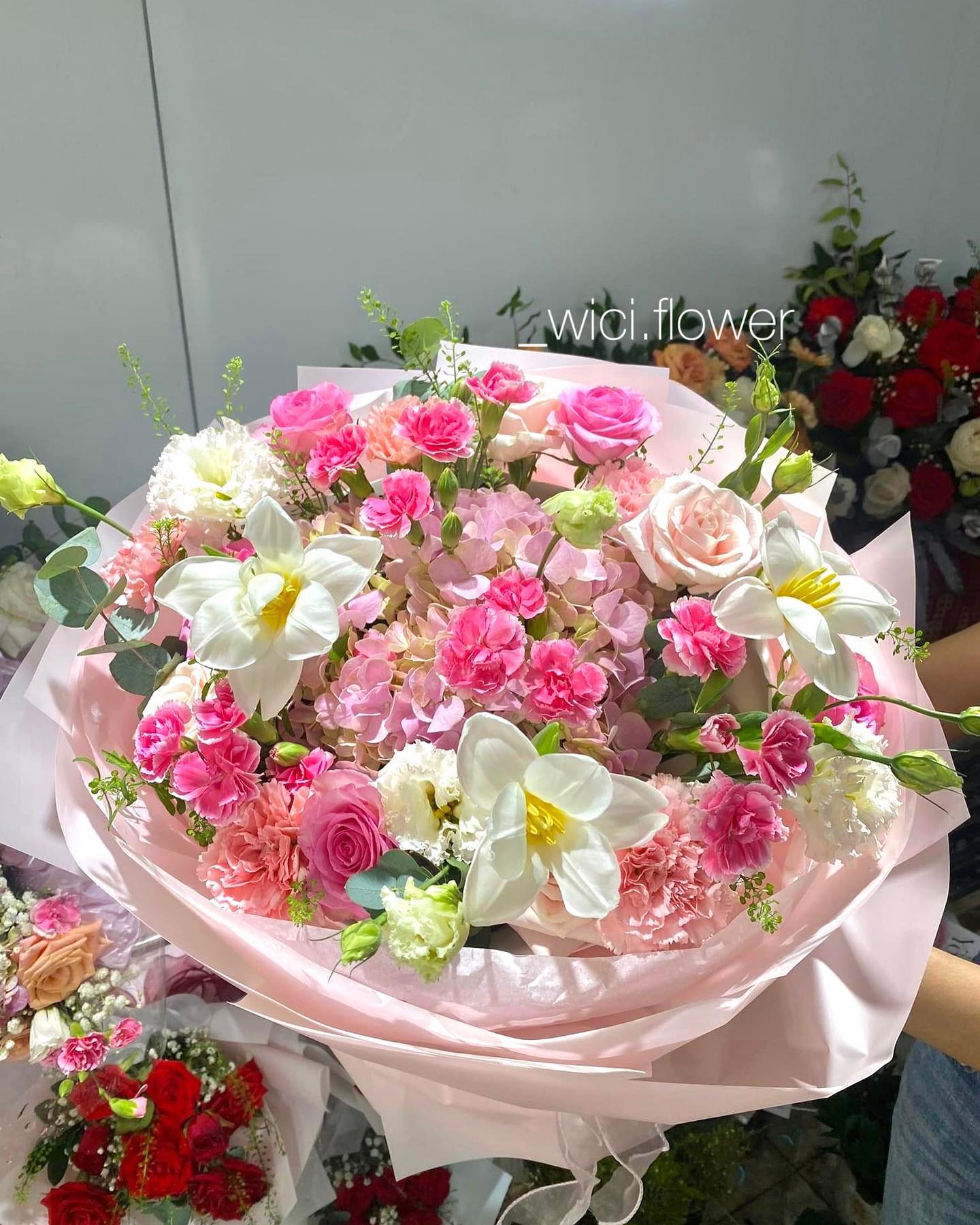 Wici Rose 03