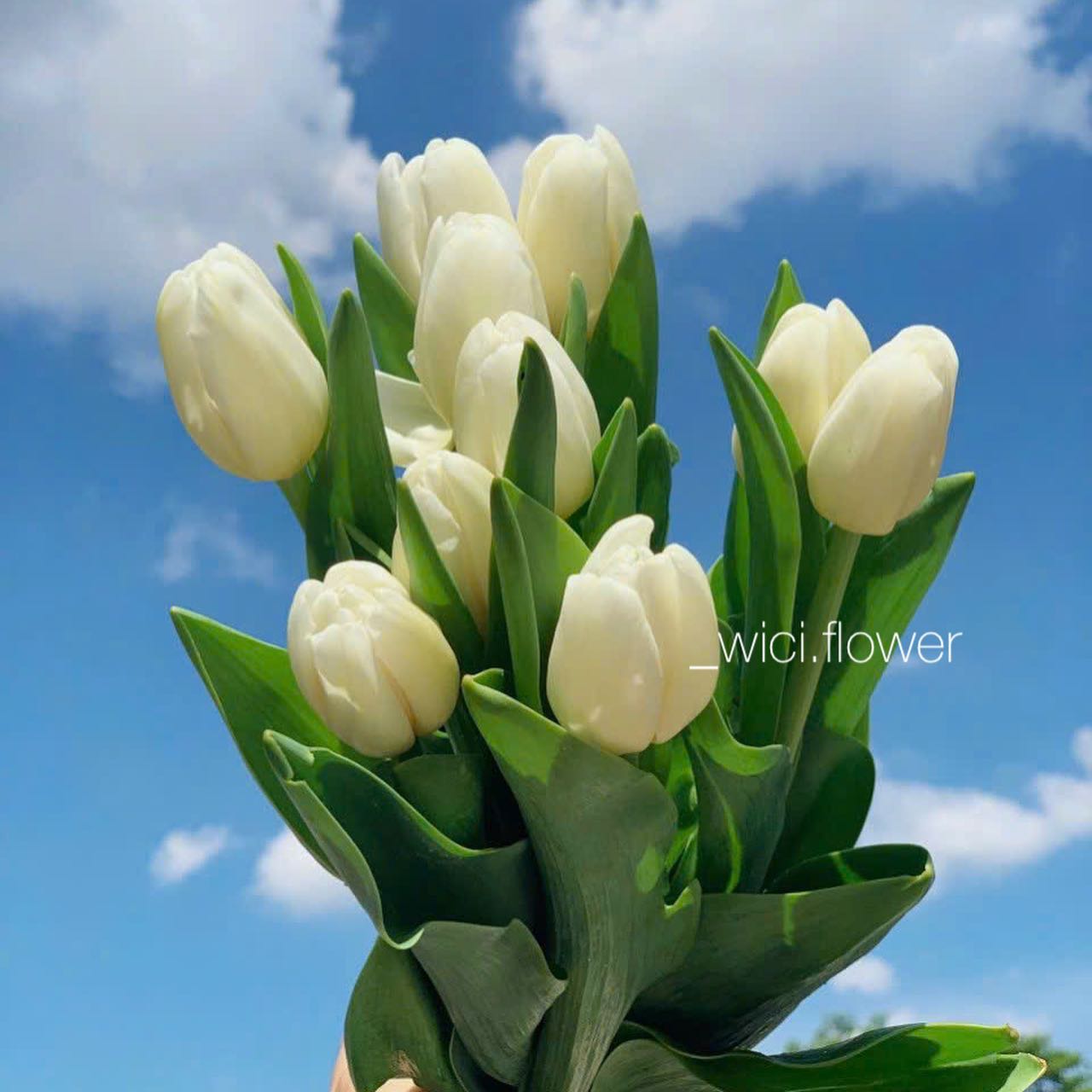 Pinterest-style editorial card + flowers setup voi mixed seasonal flowers