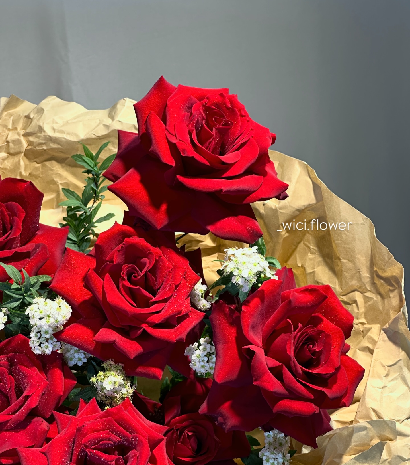 Wici Rose 24 - 3