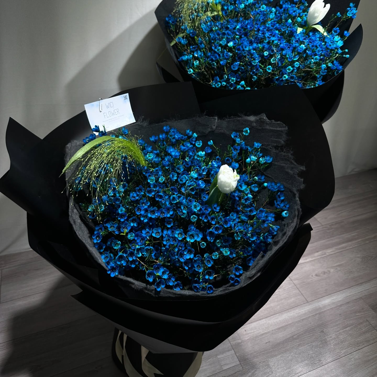 Wici Blue 17