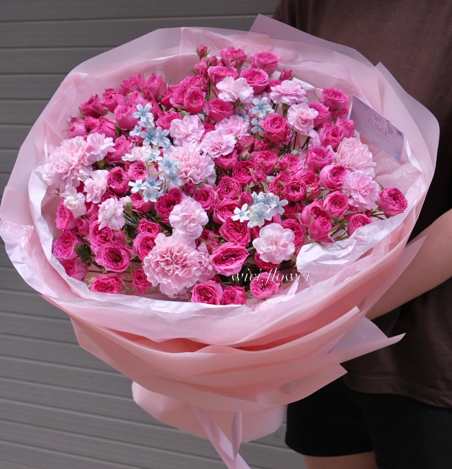 Wici Rose 33 - 3