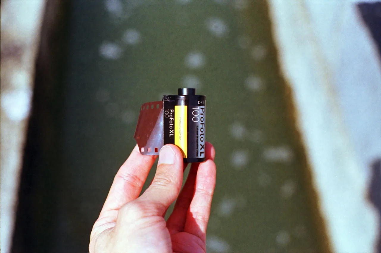 Classic Negative