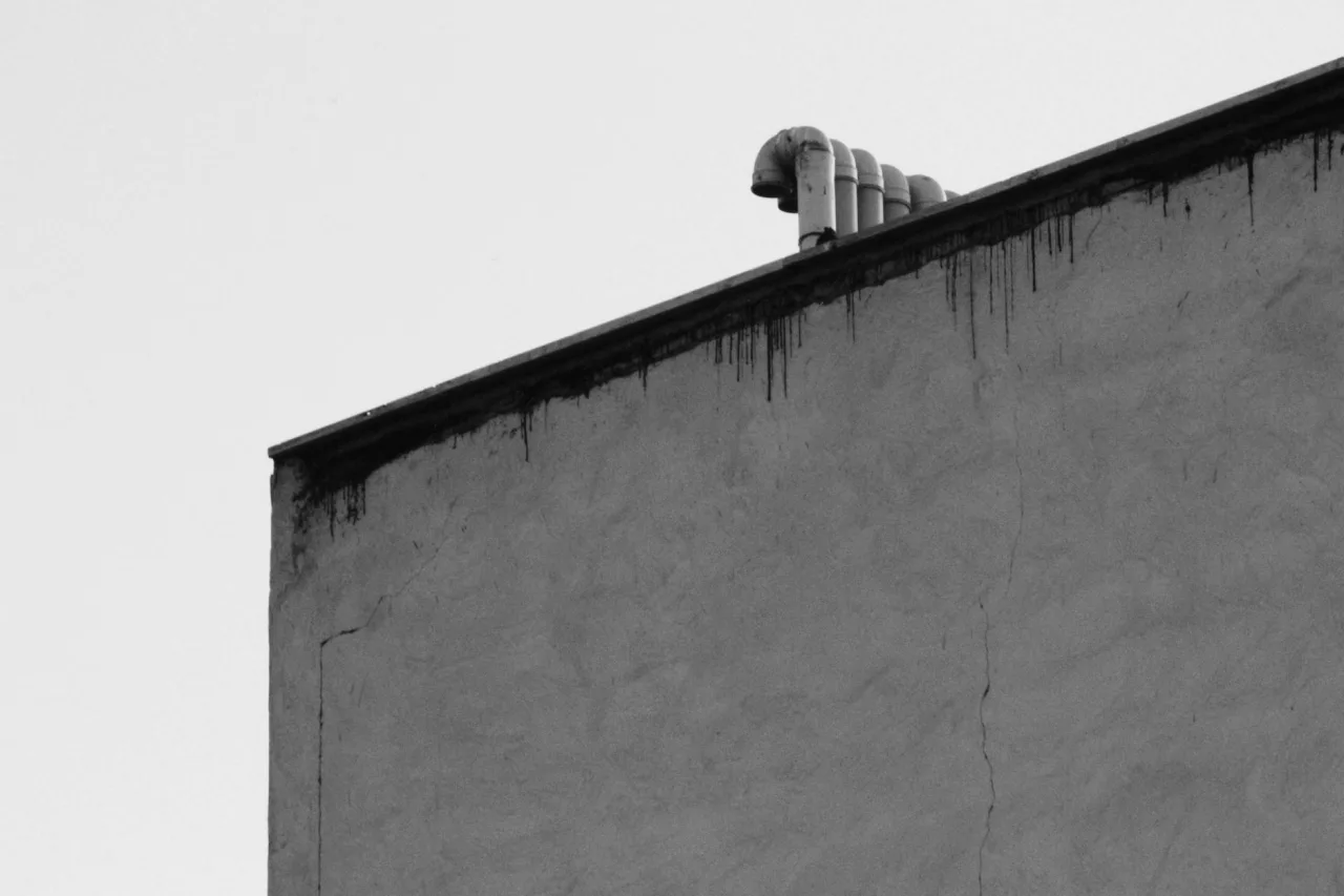 Monochrome