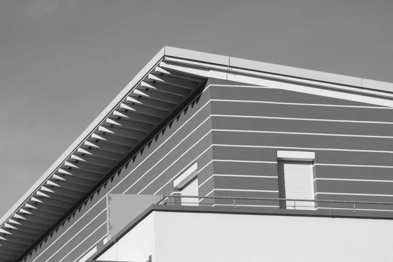 Monochrome