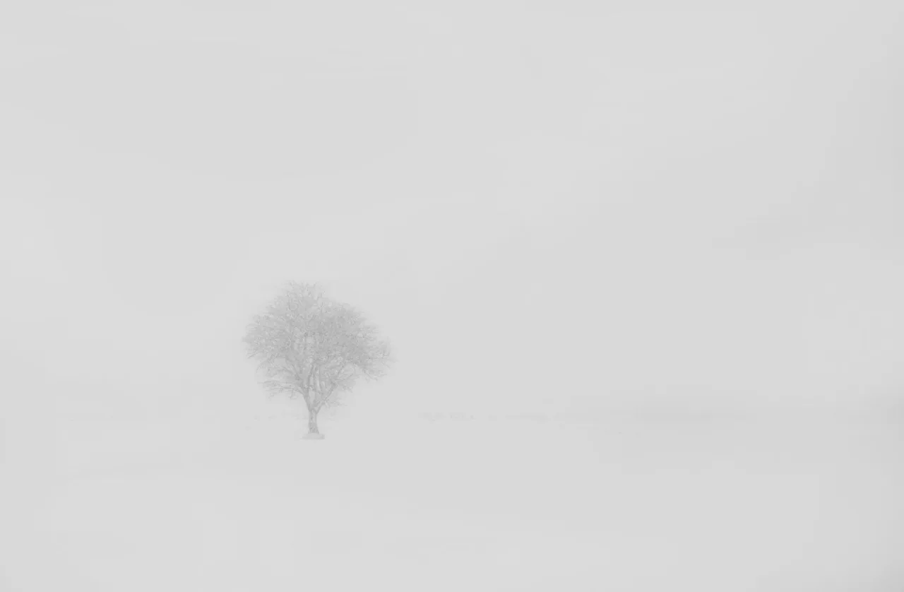 Monochrome
