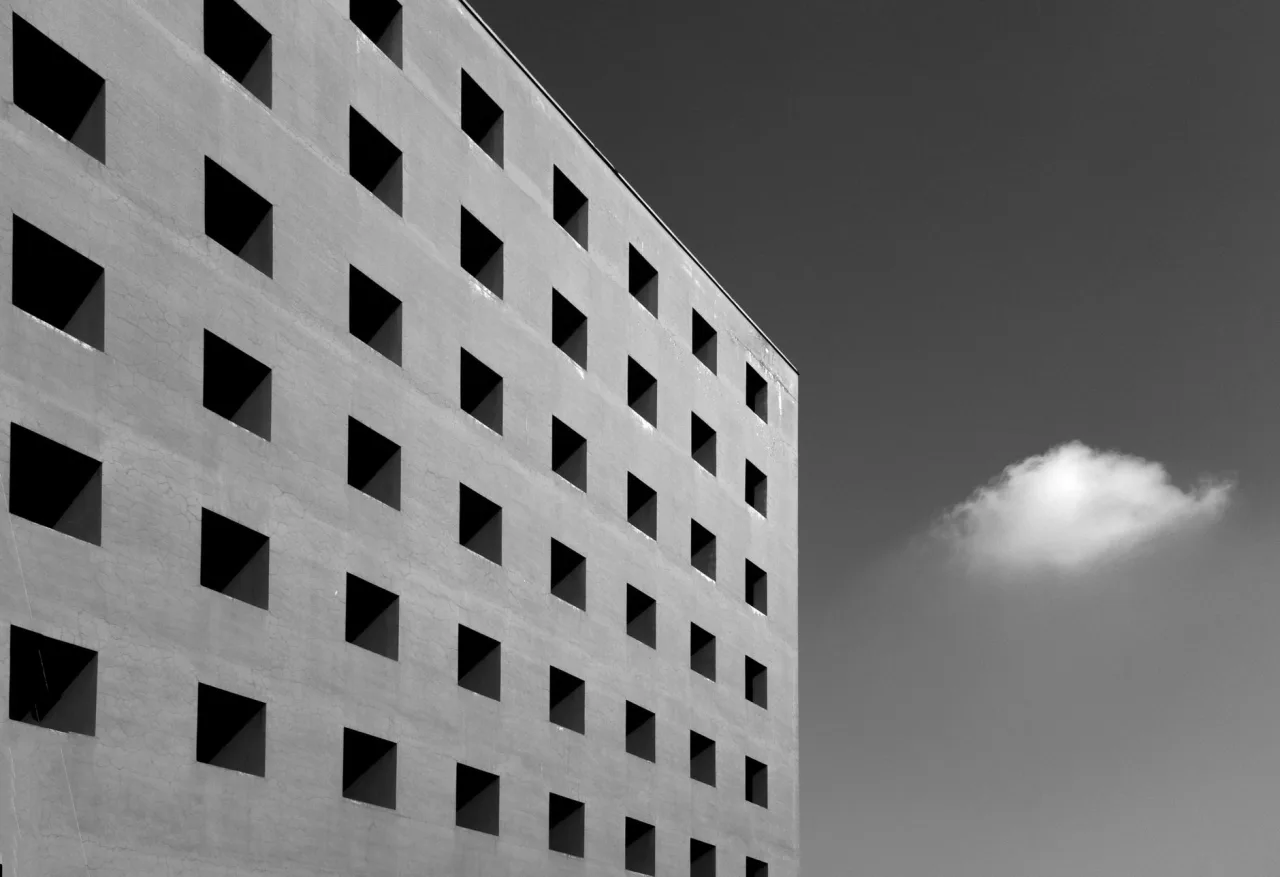Monochrome