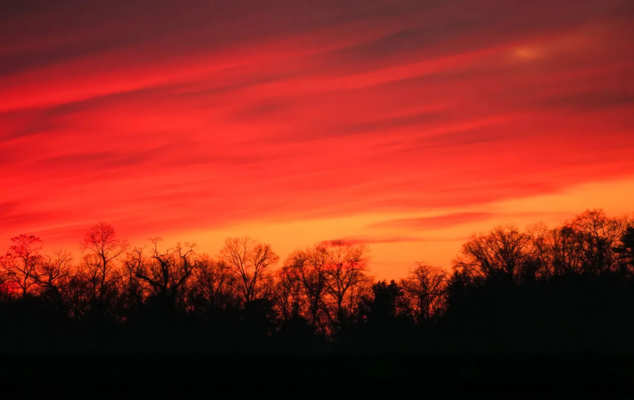 Velvia / Vivid