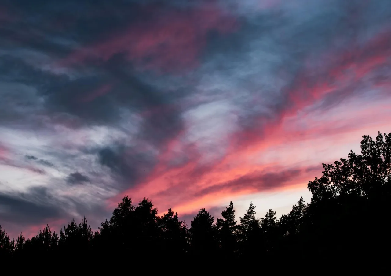 Velvia / Vivid